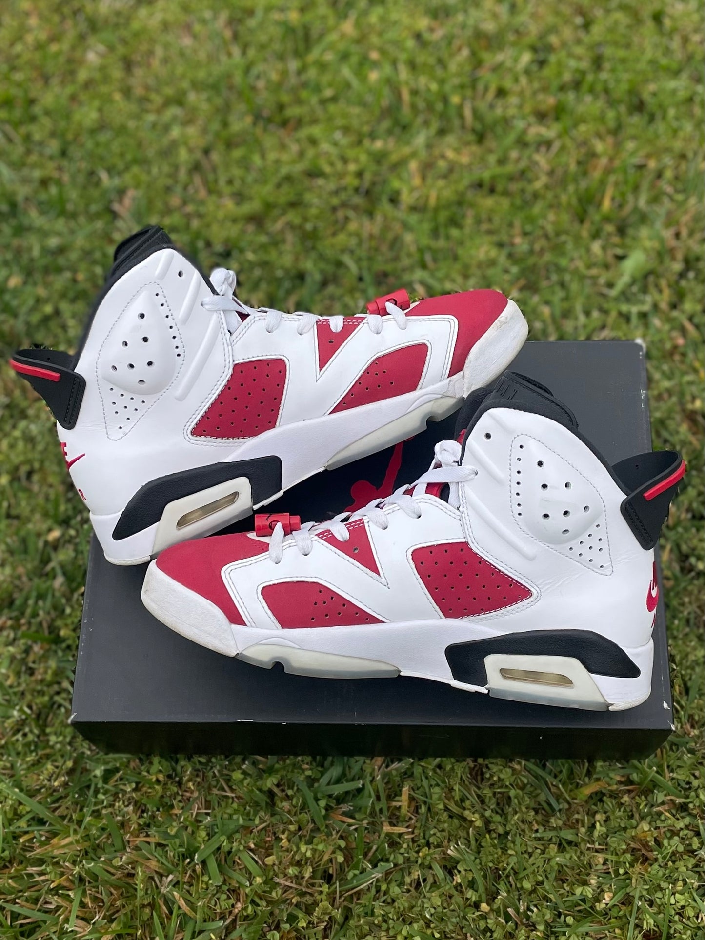 (Used Size 8.5M) Jordan 6 Carmine (2021)