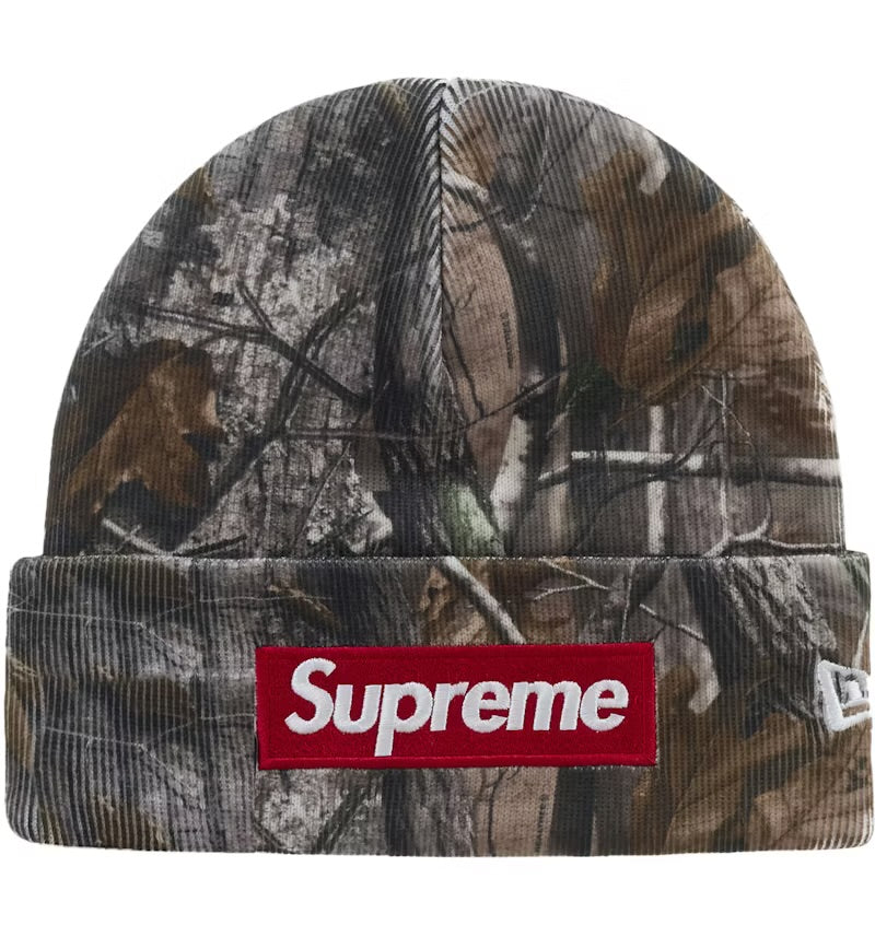 Supreme Box Logo Beanie Realtree AP Camo FW25