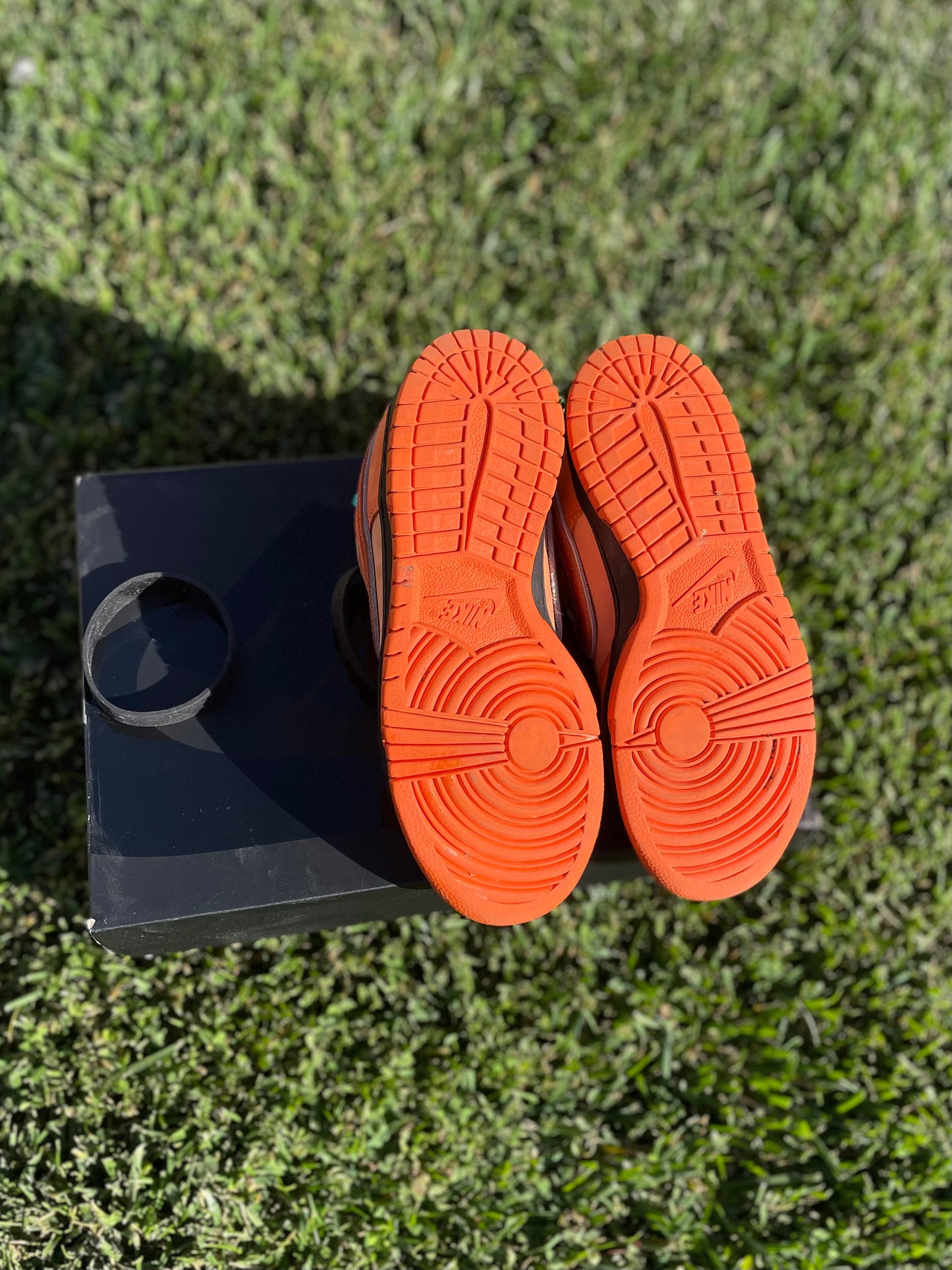 (Used Size 5M) Nike SB Dunk Low Orange Lobster (2022)