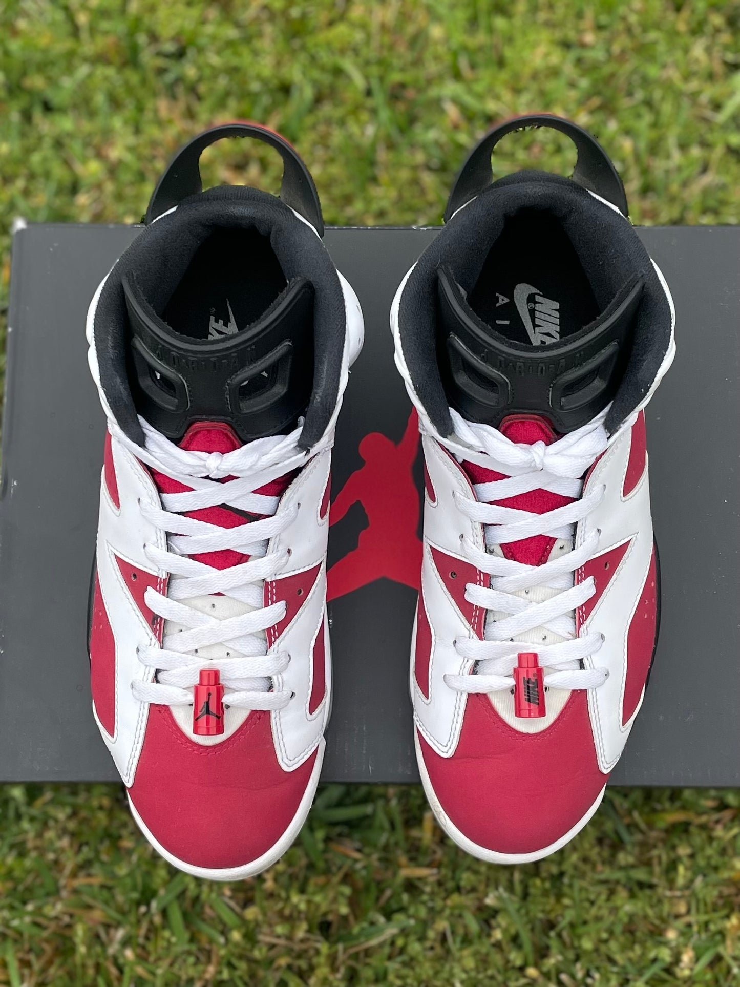 (Used Size 8.5M) Jordan 6 Carmine (2021)