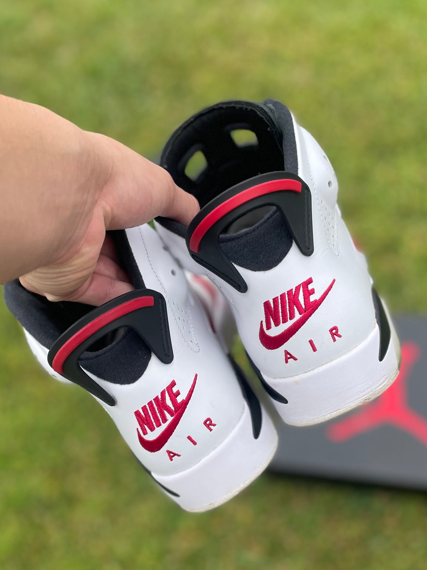 (Used Size 8.5M) Jordan 6 Carmine (2021)