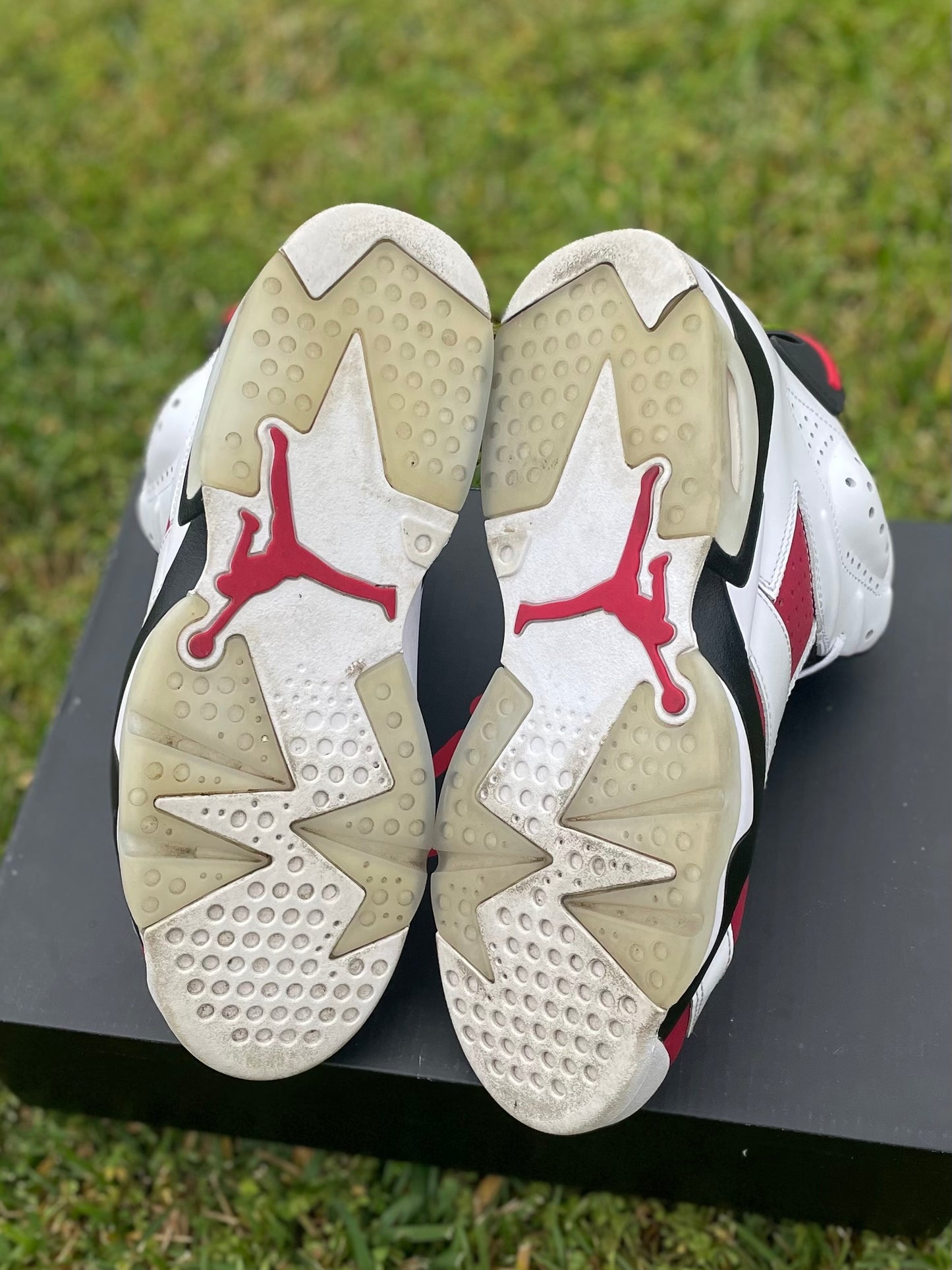 (Used Size 8.5M) Jordan 6 Carmine (2021)