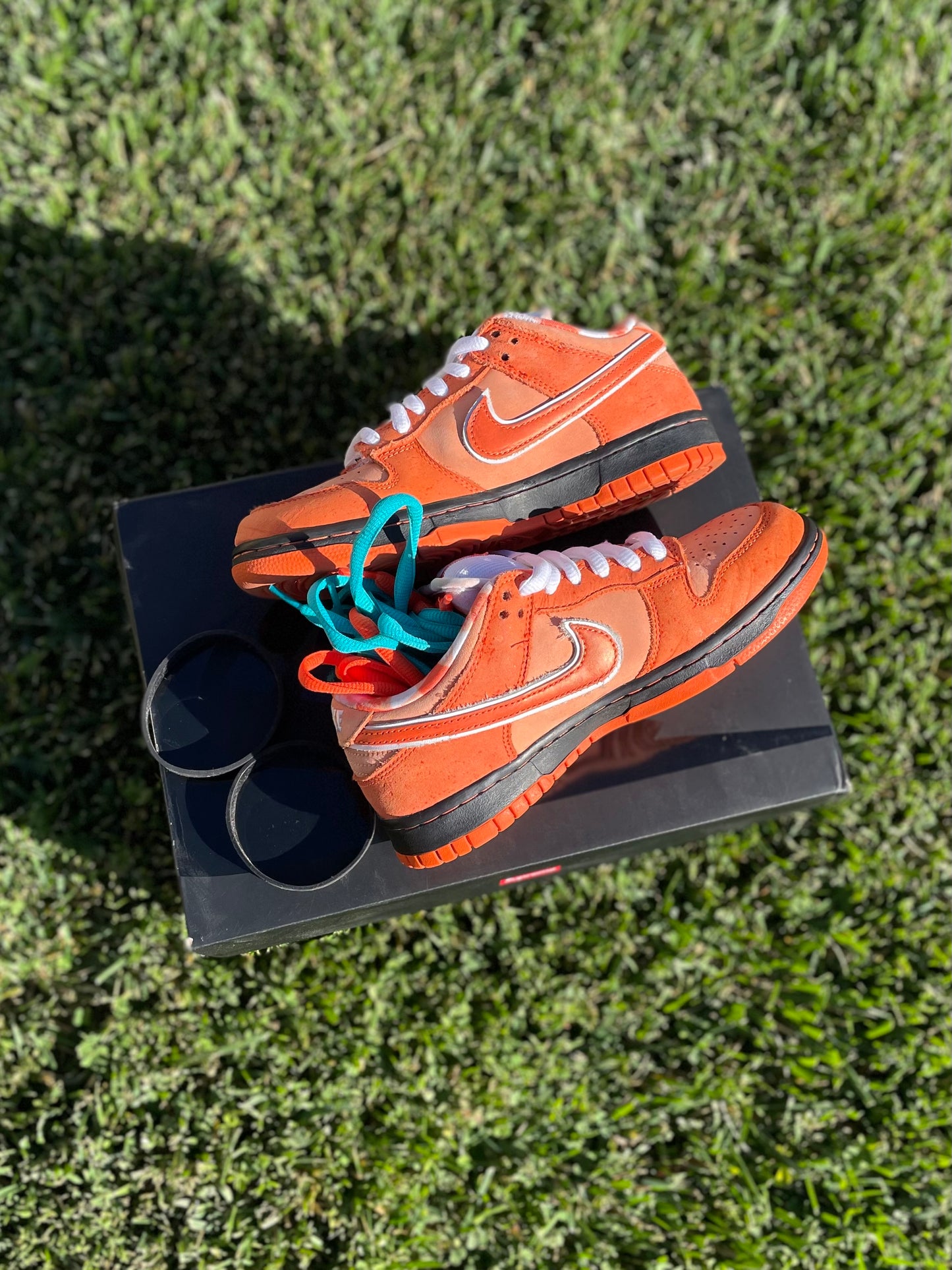 (Used Size 5M) Nike SB Dunk Low Orange Lobster (2022)