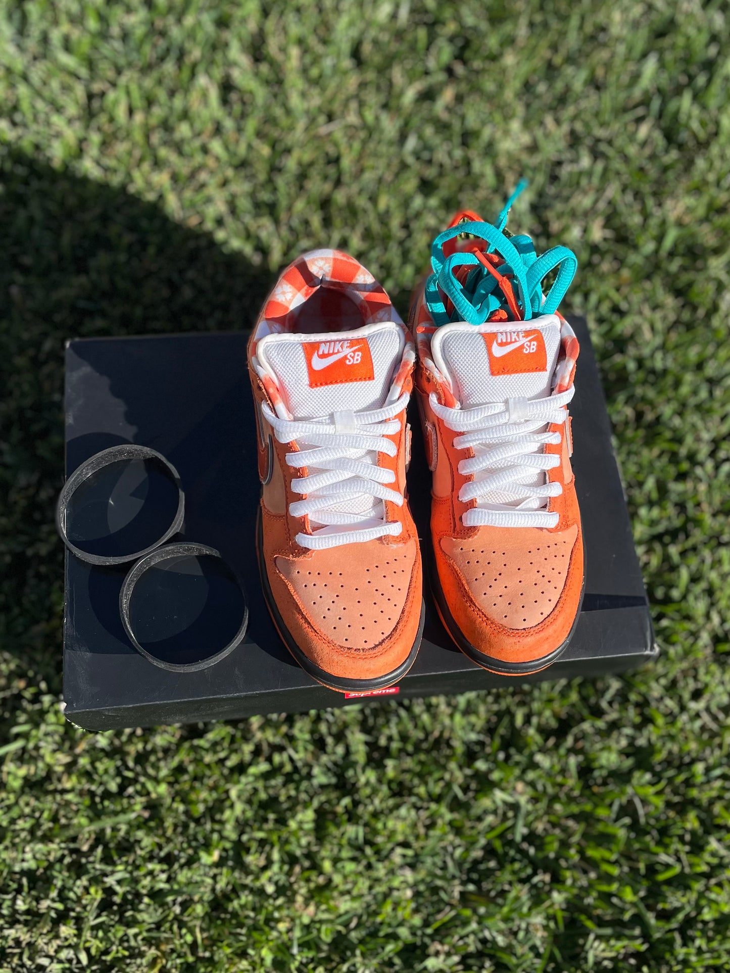(Used Size 5M) Nike SB Dunk Low Orange Lobster (2022)