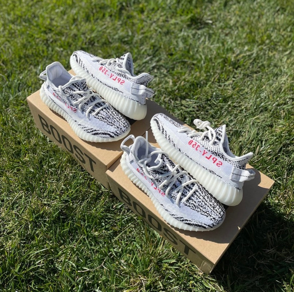 Yeezy 350 V2 Zebra