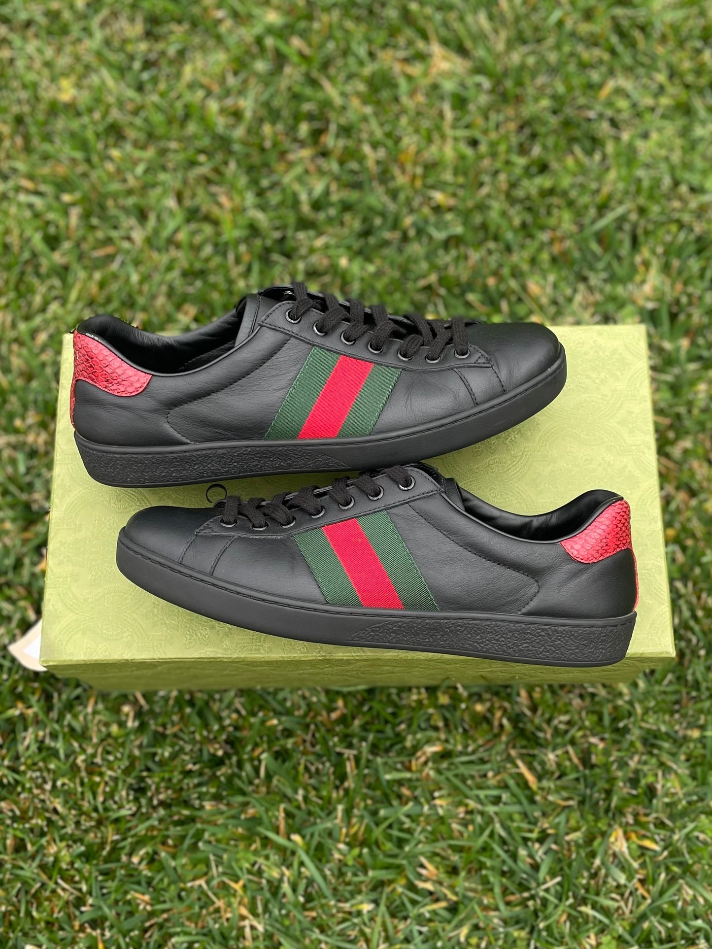 (Used Size 9M) Gucci Ace Sneakers