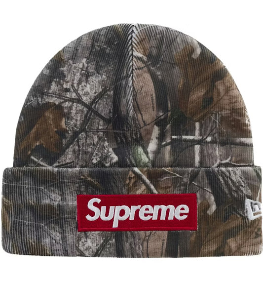 Supreme Box Logo Beanie Realtree AP Camo FW25