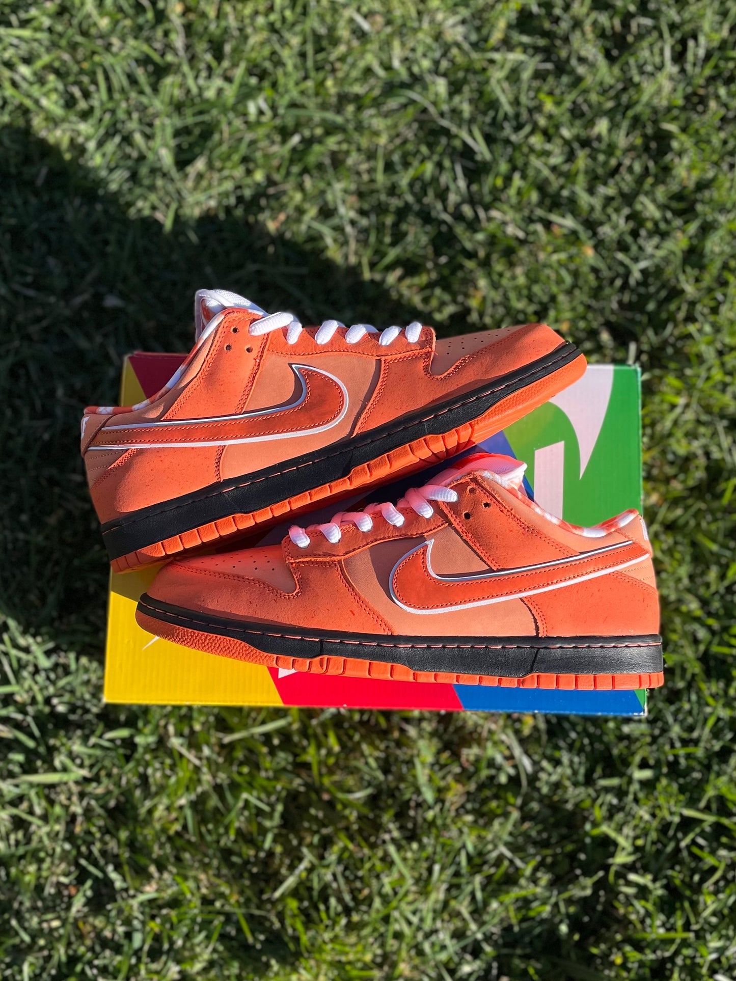 (Used Size 13M) Nike SB Orange Lobster