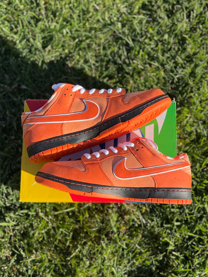 (Used Size 13M) Nike SB Orange Lobster