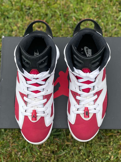 (Used Size 8.5M) Jordan 6 Carmine (2021)