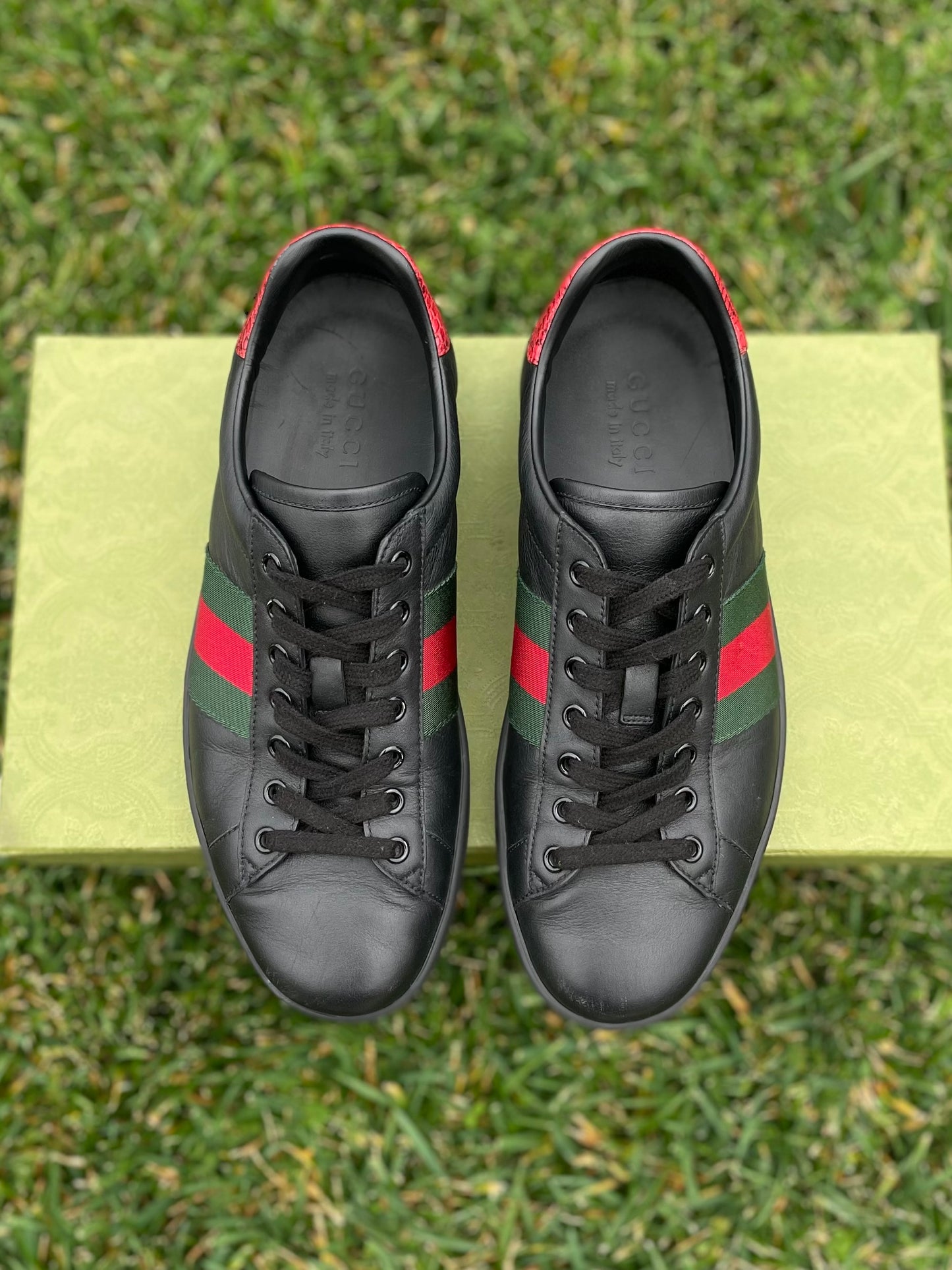 (Used Size 9M) Gucci Ace Sneakers