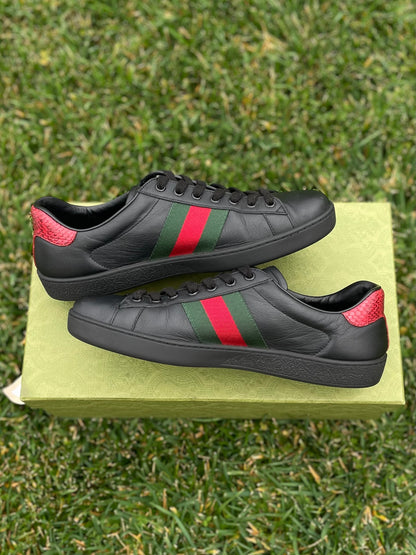 (Used Size 9M) Gucci Ace Sneakers