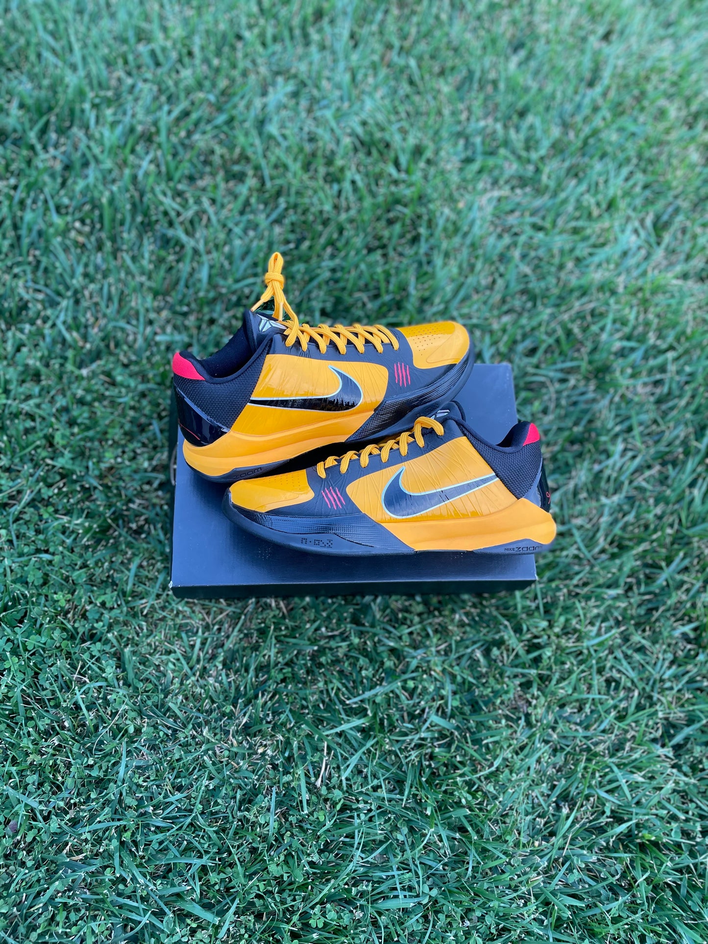 (Used Size 9M) Kobe 5 Protro Bruce Lee